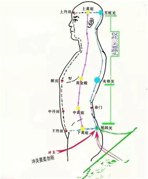 玄关穴|玄关一窍（气功术语）